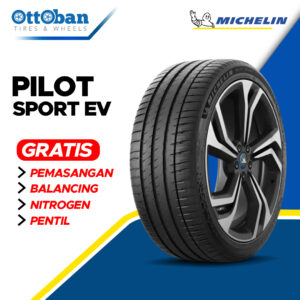 Michelin Pilot Sport EV 255 45 R20
